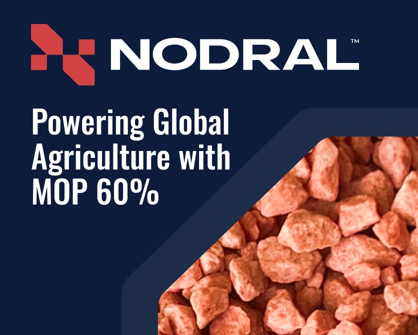 Potassium Salt (MOP 60%) w Afryce