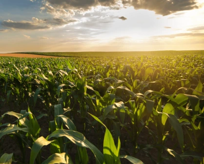 Navigating the Dynamic Landscape of the Fertilizer Market: Reflections on 2023