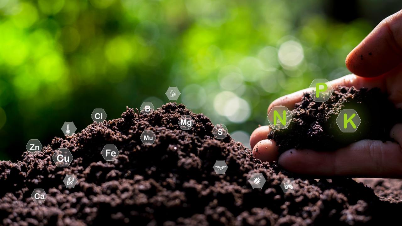 Herbst-Agronomie: Vorbereitung auf den nächsten Wachstumszyklus 