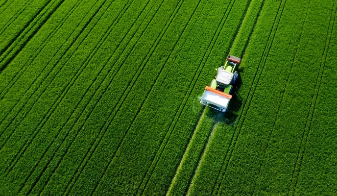 Wit fijn technisch kaliumchloride 62% – Hoogwaardige kaliumbemesting voor moderne landbouw