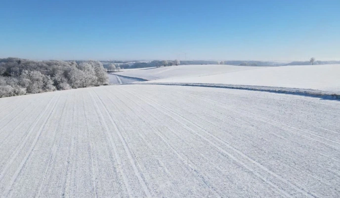 Die Ökonomie der Düngemittelplanung vor dem Frühjahr